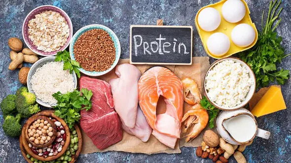منابع پروتئین حیوانی + ارزش غذایی منابع پروتئینی به تفکیک