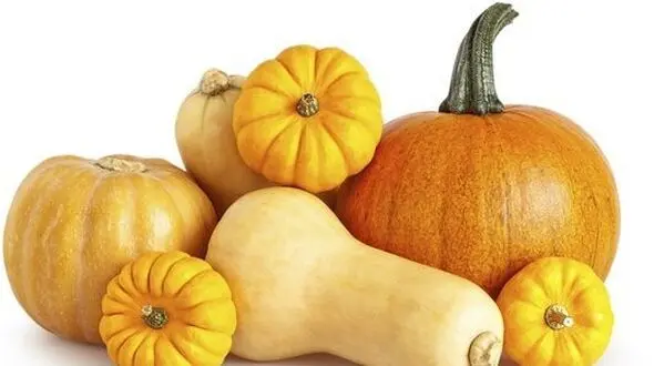 برای مبارزه با دیابت کدو حلوایی بخورید