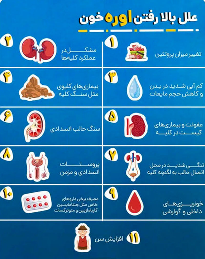 علل بالا بودن اوره