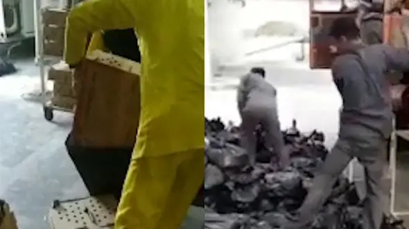 فیلم تلخ از زنده زنده دفن کردن جوجه های گرسنه در جنوب تهران