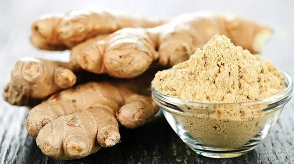 خوردن زنجبیل باعث جلوگیری از ابتلا به کرونا می‌شود؟ + فیلم
