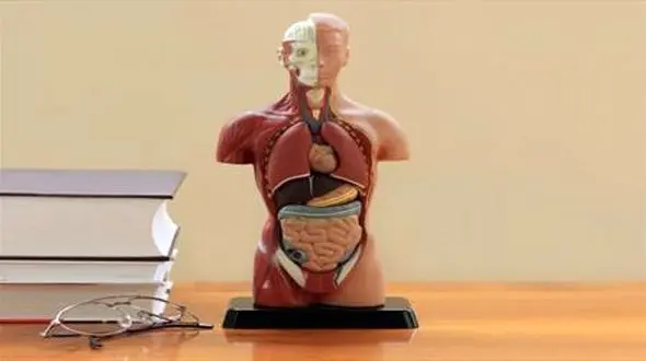 نشانه های ضعیف شدن تصفیه خانه بدن