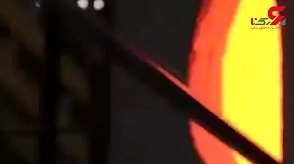 عجیب ترین مجسمه‌های شیشه‌ای حیوانات+ فیلم 