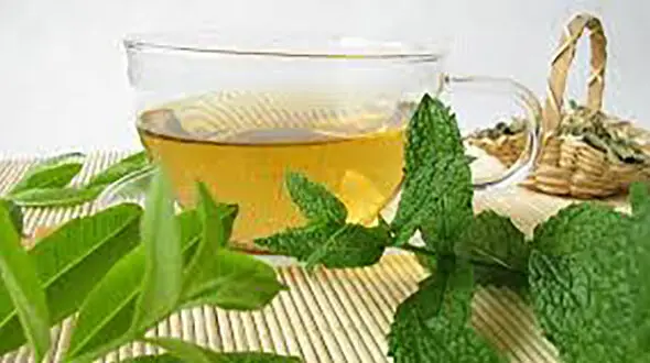 استرسی ها چای نعناع بنوشند