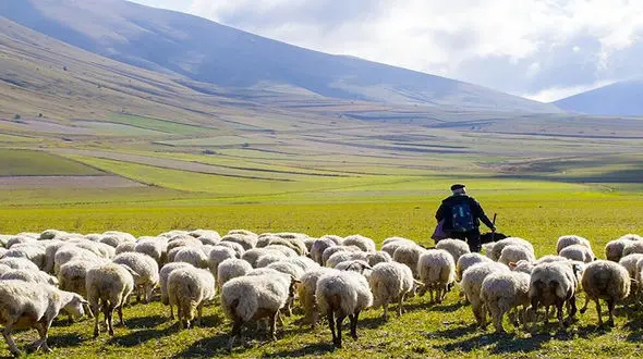 فیلم صدای محشر  یک چوپان ! / همایون شجریان به وجد آمد !