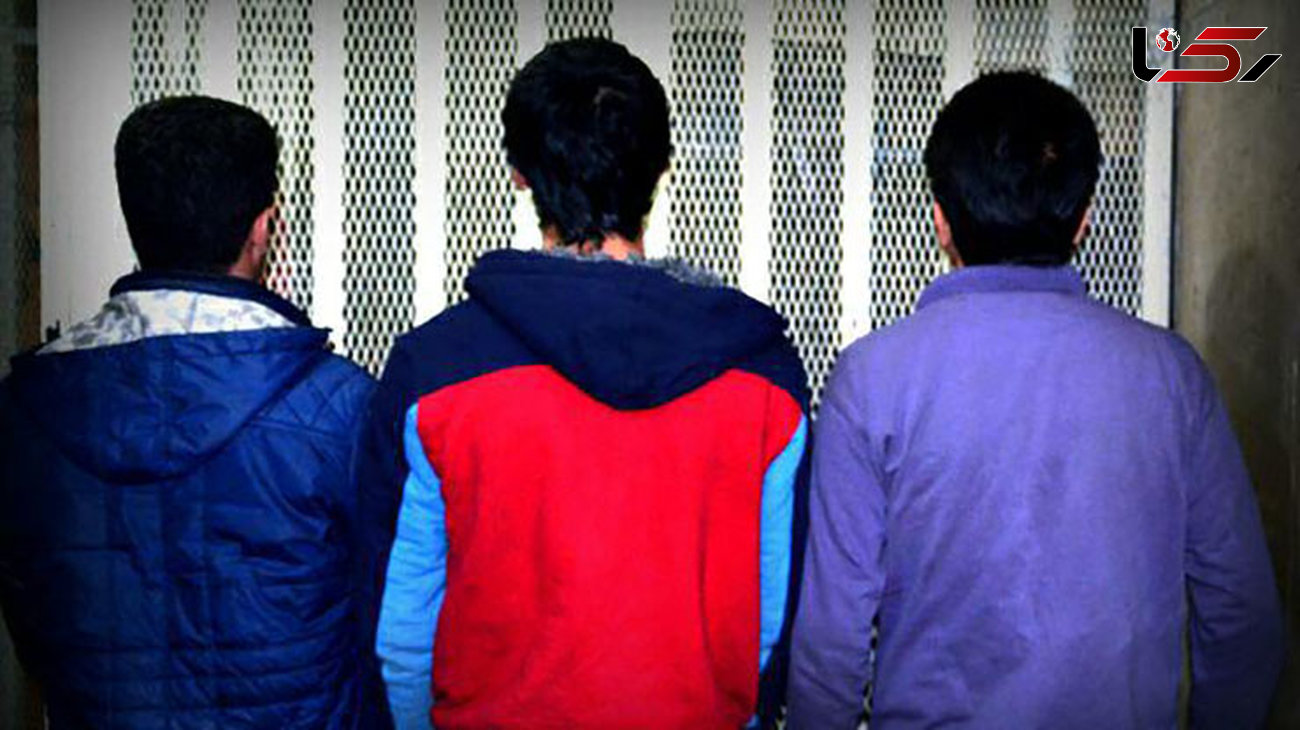 دستگیری سه اوباش خطرناک در بهارستان 