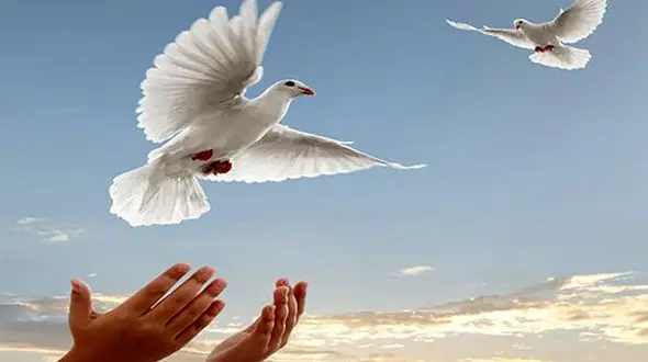 سرنوشت قدیمی ترین زندانی در زندان کرمانشاه + جزئیات