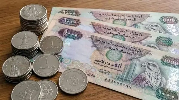 قیمت درهم امارات امروز جمعه ۱۷ مهر ۱۴۰۵