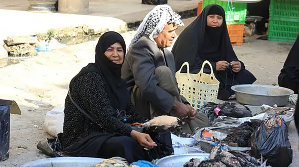 تخت جمشیدهای زنده ایران در حال نابودی هستند/خطر انقراض ماهی های آب های ایران در پی بی توجهی مسئولان شیلات!