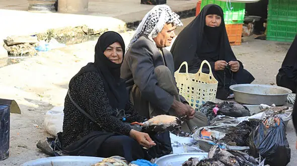 تخت جمشیدهای زنده ایران در حال نابودی هستند/خطر انقراض ماهی های آب های ایران در پی بی توجهی مسئولان شیلات!