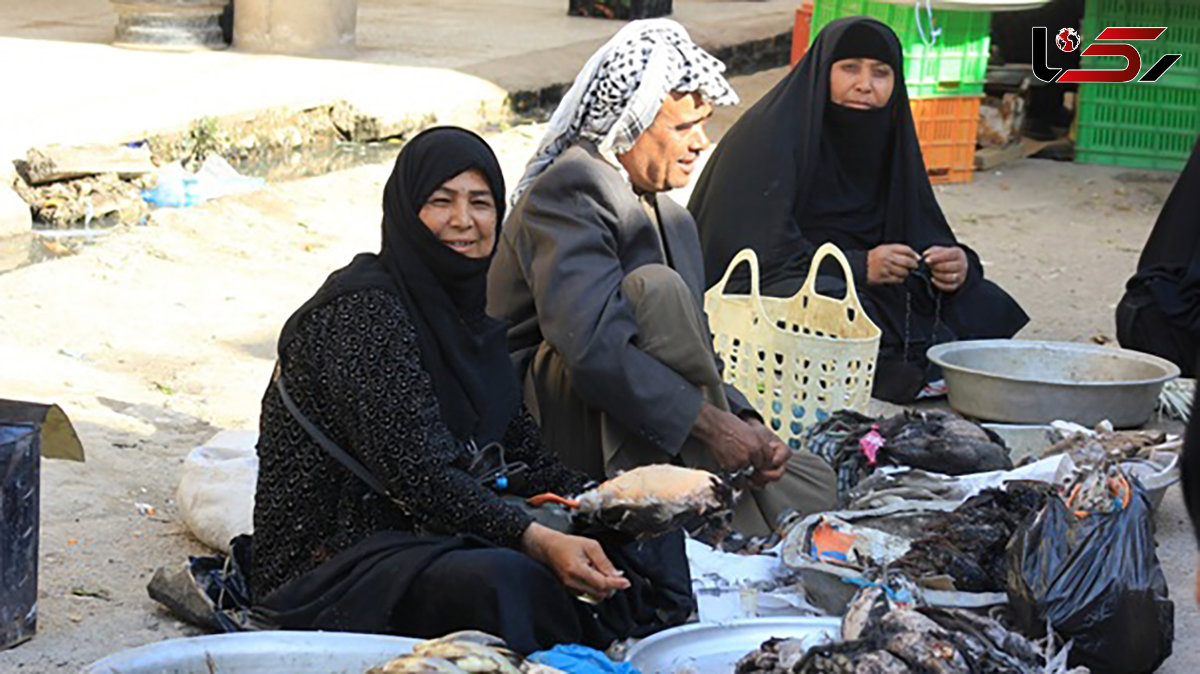  تخت جمشیدهای زنده ایران در حال نابودی هستند/خطر انقراض ماهی های آب های ایران در پی بی توجهی مسئولان شیلات! 