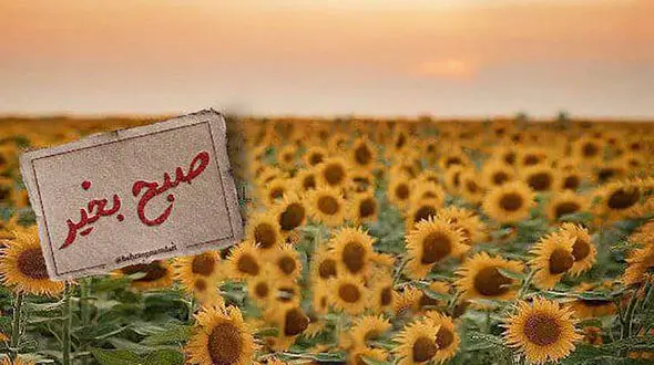 فال ابجد امروز / 7 تیر + فیلم