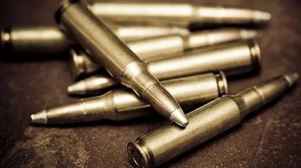 ​۶ نفر از اراذل جنوب تهران دستگیر شدند / کشف۷ سلاح گرم و ۲۵ فشنگ