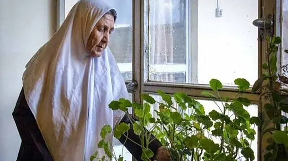 نقش تنهایی بر سلامت مغز زنان در آغاز یائسگی