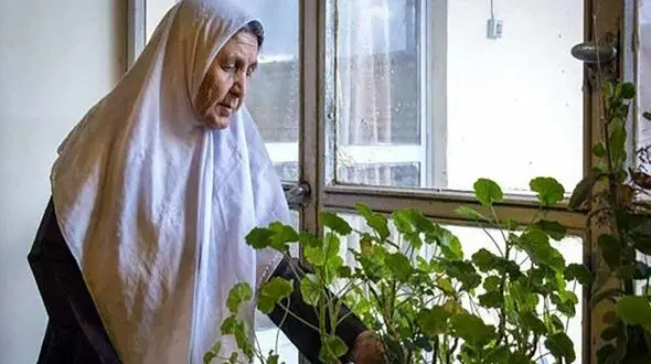 نقش تنهایی بر سلامت مغز زنان در آغاز یائسگی