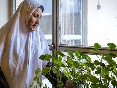 نقش تنهایی بر سلامت مغز زنان در آغاز یائسگی