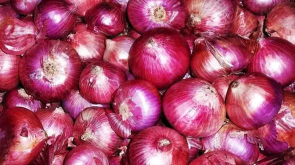 انتخاب بهترین پیاز و روش نگهداری از آن