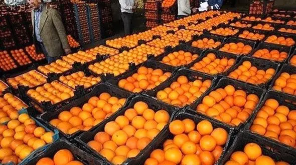 قیمت میوه های تنظیم بازاری شب عید چقدر است؟