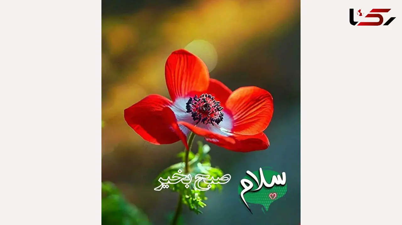فال روزانه شخصی/ 12 مرداد ماه + فیلم