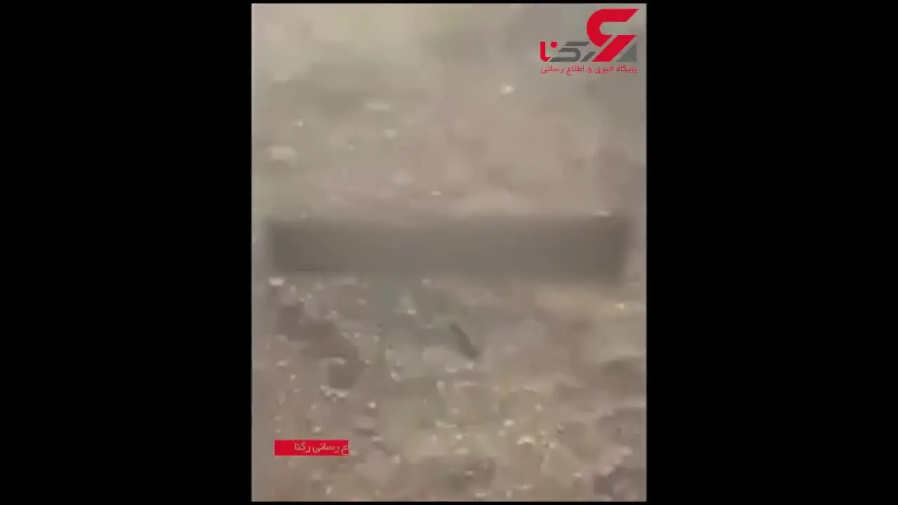 خودکشی دسته جمعی و عجیب کلاغ ها در قم +  فیلم شوک کننده