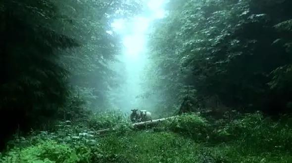 مسیر موفقیت با اولین قدم شروع می‌شود