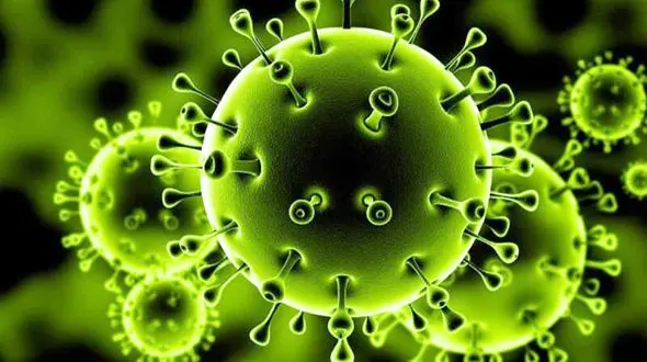 لغو طرح اسکان نوروزی فرهنگیان در تمامی مدارس فارس 