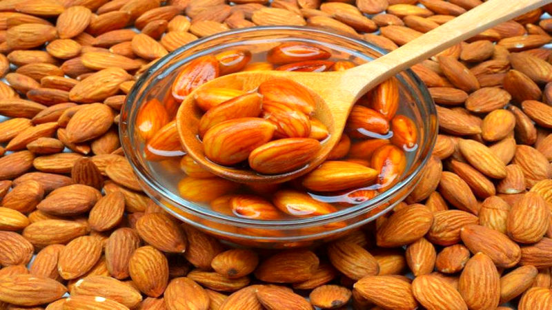 کاشت و پرورش بادام در گلدان
