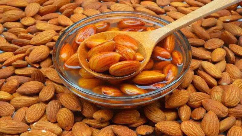 کاشت و پرورش بادام در گلدان