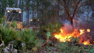 فیلم آتش سوزی وحشتناک در جنگل / 800 خانه ویران کرد + عکس