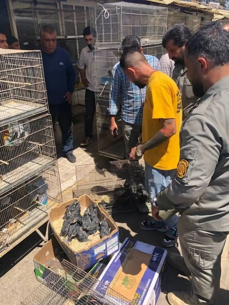 ضبط گونه‌ های حفاظت‌ شده در بازار پرندگان خلیج فارس 2