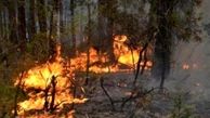 آتش‌سوزی گسترده در یونان