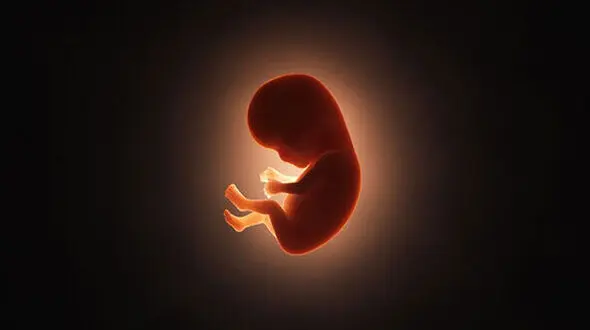 مجوز سقط قانونی با رأی قاضی صادر می‌شود