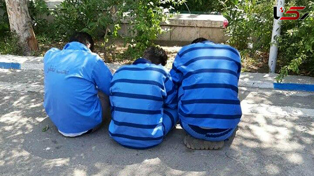 15 تبهکار خطرناک در یک پرونده / 2 برادر یک دختر تهرانی را برای انتقام ربودند