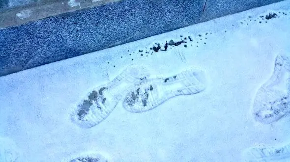 ردپای دزد پاگنده روی برف / راز عجیب یک سرقت که فاش شد + عکس و جزییات