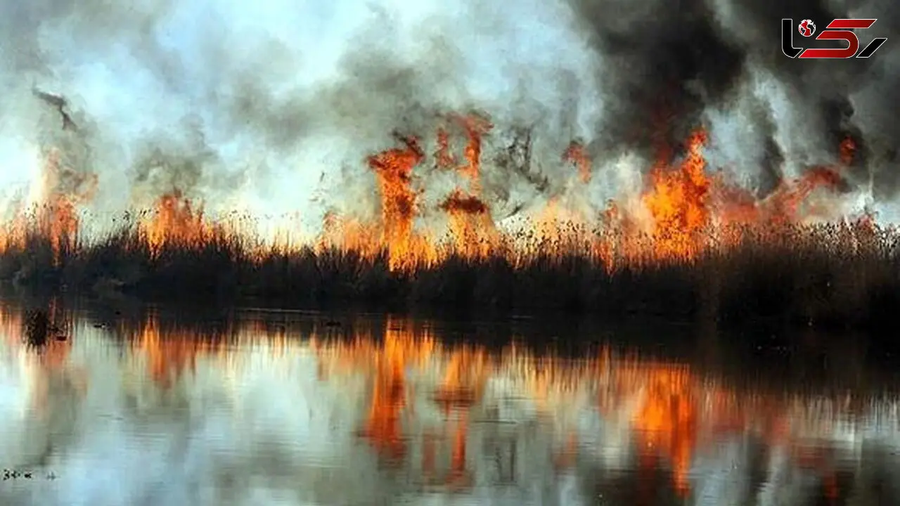 آتش‌سوزی تالاب انزلی «عمدی» بود