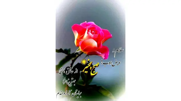 فال ابجد امروز / 26 تیر + فیلم