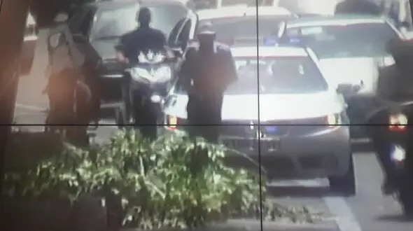 سقوط درخت باعث توقف خودروها در ورودی تونل رسالت شد