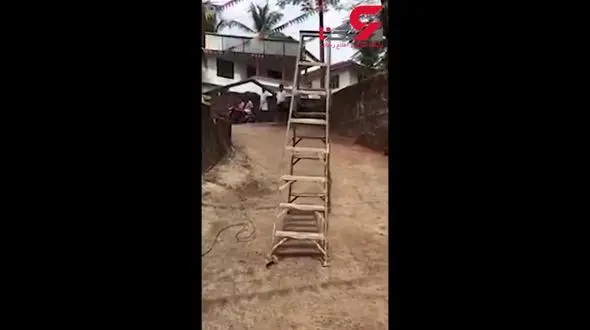 اتفاقی عجیب که همه را شوکه کرد / نردبانی که راه می رود+فیلم