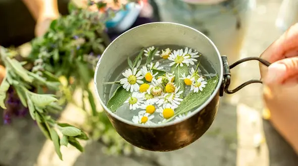 بخور روغن بابونه مناسب برای سینوس‌ها