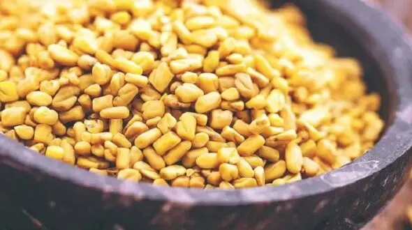 بدن تان را با گیاهان طبیعی خوشبو کنید