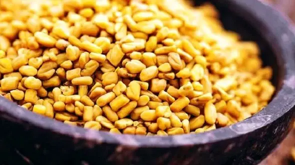 بدن تان را با گیاهان طبیعی خوشبو کنید