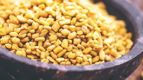 بدن تان را با گیاهان طبیعی خوشبو کنید