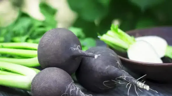 درمان سنگ کلیه به چند روش ساده