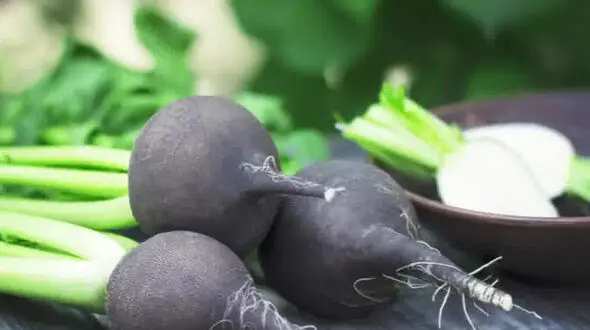 درمان سنگ کلیه به چند روش ساده