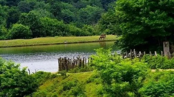 آرامش در طبیعت /  ماه کوهستان و سکوت دریاچه