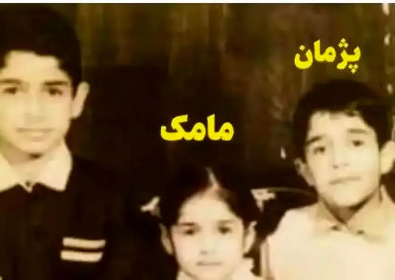 پژمان جمشیدی