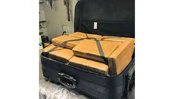 این چمدان فرودگاه را به هم ریخت! + عکس