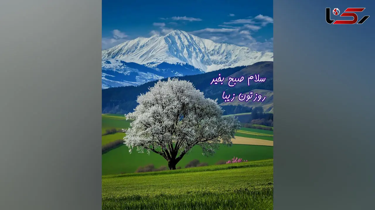 فال و طالع بینی روزانه اول خرداد ماه + فیلم 