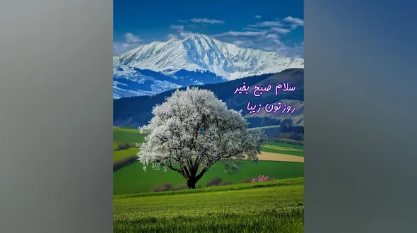 فال و طالع بینی روزانه اول خرداد ماه + فیلم 