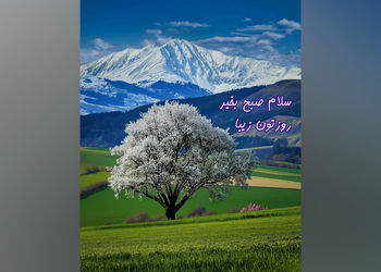 فال و طالع بینی روزانه اول خرداد ماه + فیلم 